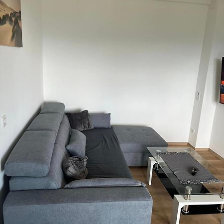 Appartamento Gastehaus Dollenz Tiebitsch Esterno foto